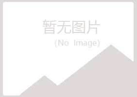 尼勒克县岑迷能源有限公司